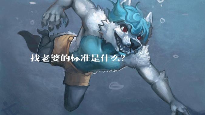 找老婆的标准是什么？