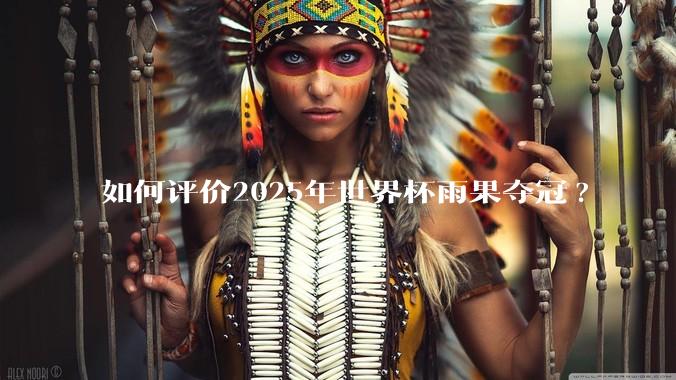 如何评价2025年世界杯雨果夺冠?