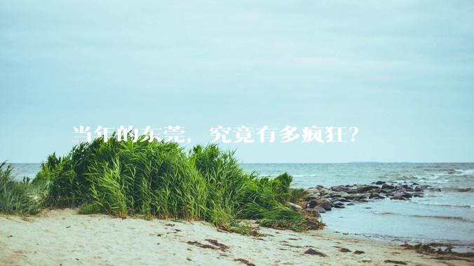 当年的东莞，究竟有多疯狂？