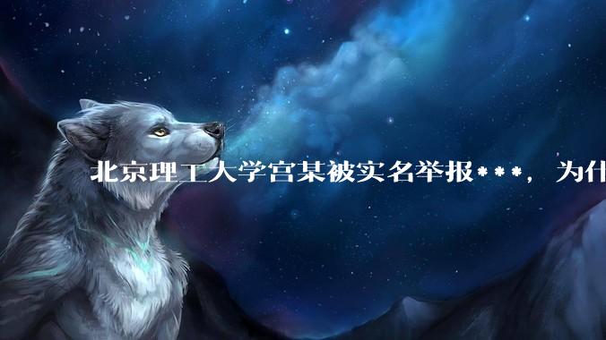北京理工大学宫某被实名举报***，为什么感觉这么多人似乎站导师这边？