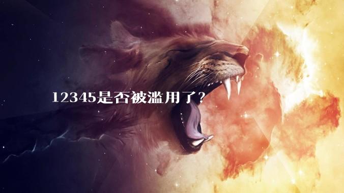 12345是否被滥用了？